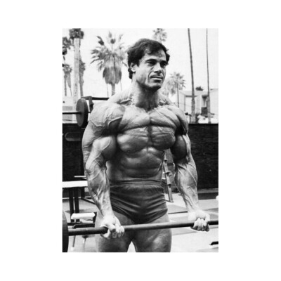 Franco Columbu Weightlifting Training GYM Workout Canvas Prints Posters 36x24