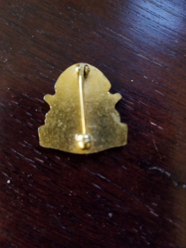 VINTAGE GOLDTONE & BLUE CUB SCOUT DEN MOTHER PIN - Picture 2 of 2