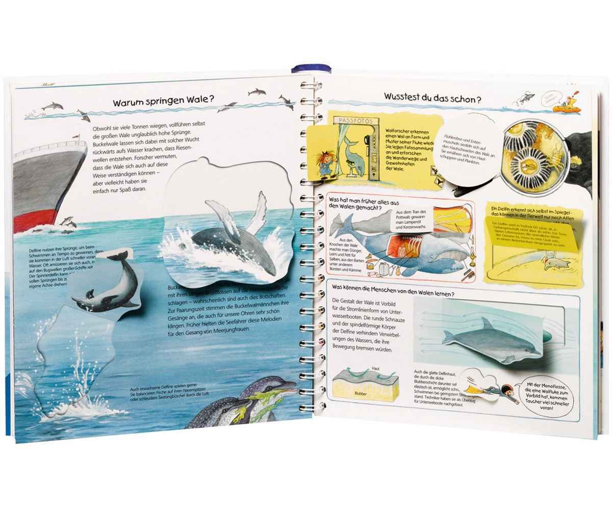 Thumbnail - Ravensburger Kinderbuch Wieso Weshalb Warum? Wir Entdecken Wale &