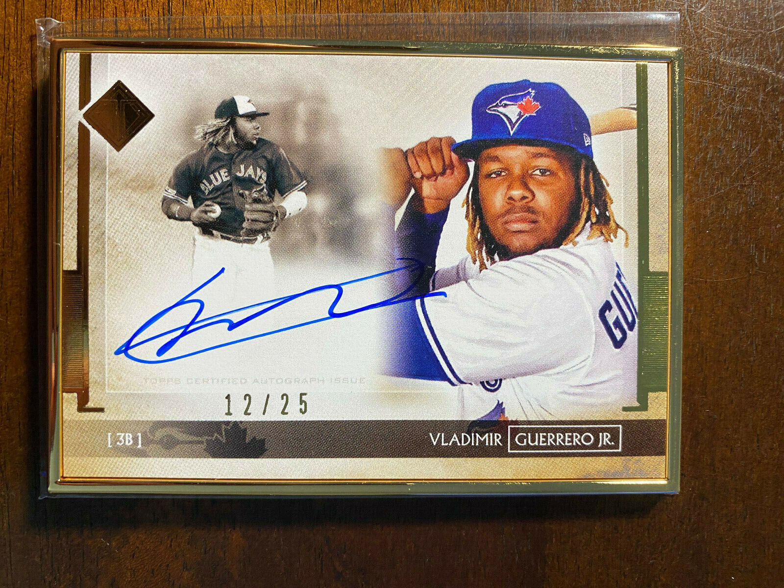 Vladimir Guerrero Jr. topps auto /25 RC-