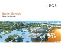 Kai Wangler - Stefan Schulzki Chamber Music - Cd - F600Z