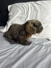 Webkinz Signature Beaver Plus, No code, Gently Used
