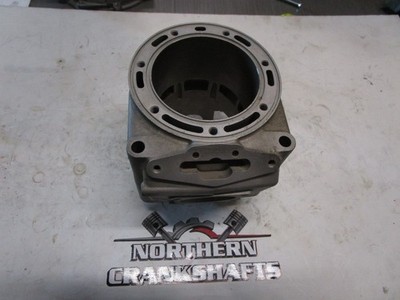Arctic Cat F1000 1200cc D&D Racing Big Bore ported cylinder | eBay
