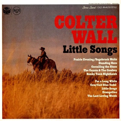 Colter Wall - Little Songs (Vinyl LP - 2023 - EU - Original)