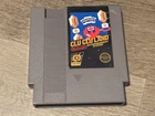 Clu Clu Land 5 Screw Nintendo Nes Cleaned & Tested Authentic