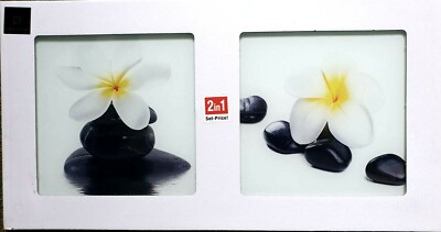 Eurographics AKT-DG-DT6132 Deco Glass 20x40, Orchidee auf Steinen, Glas, NEU/OVP