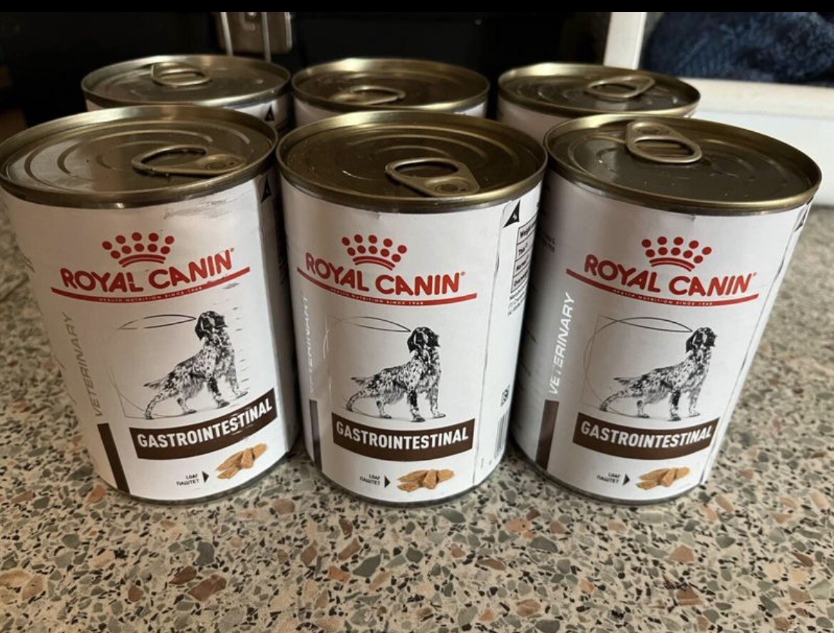 Royal Canin Gastro Intestinal Dog Food 400g 9003579309445 eBay