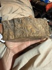Nice Piece Petrified Wood  Agatized Polished Full Round — photo 3