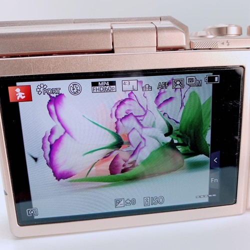 Panasonic Lumix DC-GF10 DC-GF10W Digital Camera Double Lens Kit White with Box - Picture 14 of 14