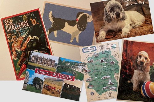 6 POSTCARDS Dogs + Wiltshire + Pulp Fiction - 第 1/10 張圖片