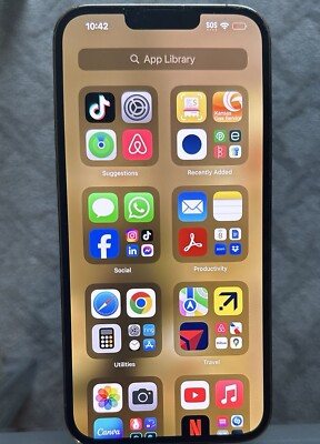 iPhone 13 Pro Max With TikTok 