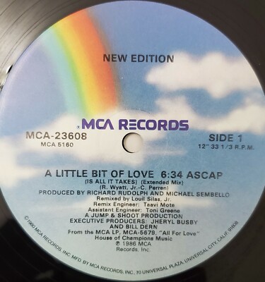 NEW EDITION A LITTLE BIT OF LOVE (IS ALL IT TAKES) 12' VINYL