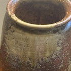 Foto 12 di 14