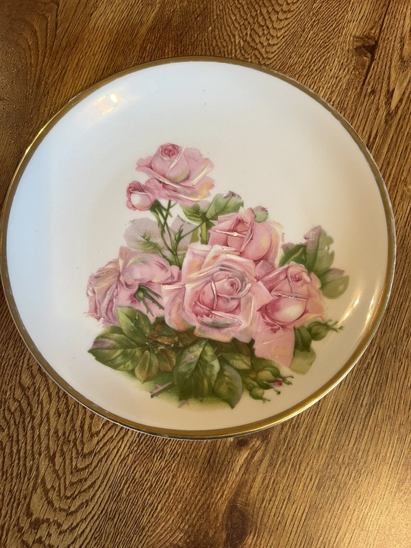 Vintage CT Altwasser Silesia Handpainted 27706 26 Light & Dark Rose Floral Plate