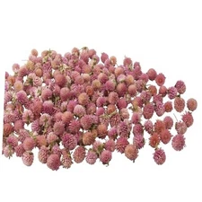 220 Pcs Dried Flowers Heads for Crafts Pink Globe Amaranth Natural Dried 