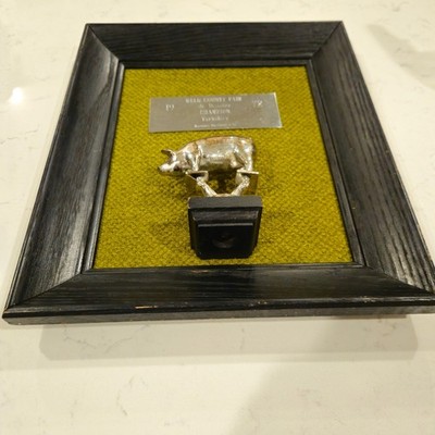 Vintage MCM 1972 Weld County Fair Yorkshire Pig Champion Framed Trophy