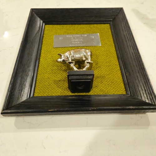 Vintage MCM 1972 Weld County Fair Yorkshire Pig Champion Framed Trophy
