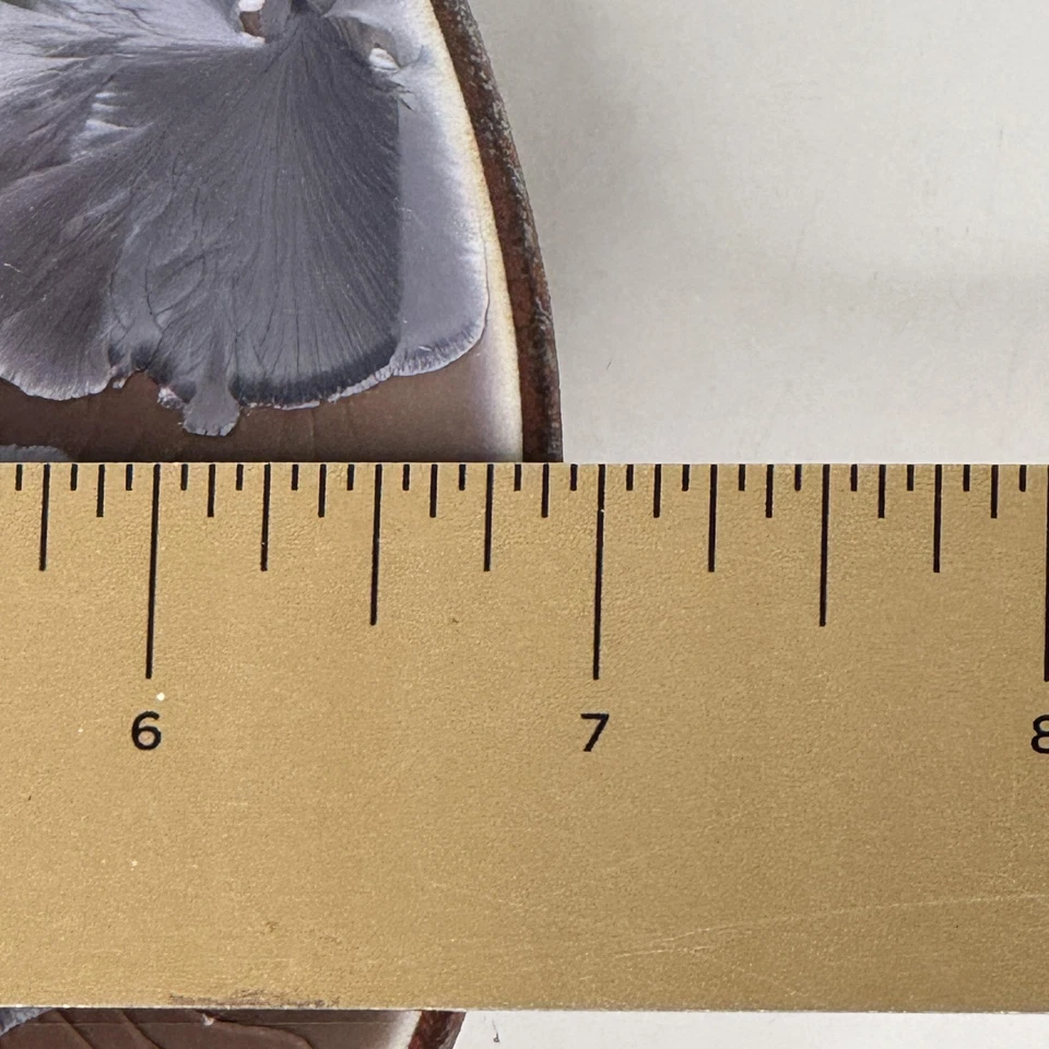 Jarrón Studio Pottery Ikebana Kenzan Flor Rana Esmalte Cristalino Firmado Tazón Bajo Foto 4 de 4