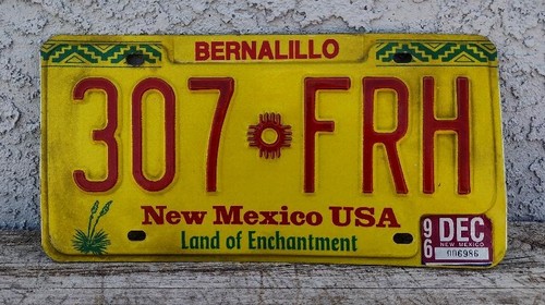 New Mexico License Plate 307-FRH  1999 LAND of ENCHANTMENT w/ Tag, Zia, & Yucca
