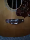 Picture 5 of 24