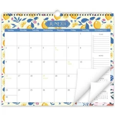 GuassLee Wall Calendar 2024-2025, School Year Calendar from Jun. 2024 to Dec. 