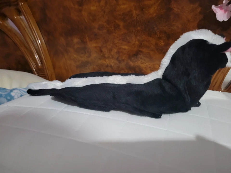 Disfraz de perro Lil' Stinker, pequeño (se adapta a longitudes de hasta 12"), negro/blanco Foto 2 de 4