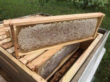 2,2 Kg Frische Wabenhonig 2026 | Honig im R&auml;hmchen | Honeycomb