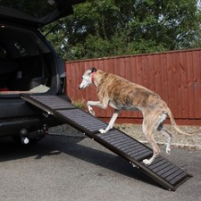 Dog Ramp Folding Ramps Medium Large Dog Portable Ramps for Car, Truck, SUV, RV