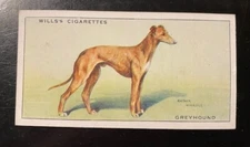 1937 WD&HO Wills's Cigarette Dog Card Imperial Tobacco Co Terrier Hound Spaniel