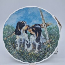 Royal Albert Bone China Playful Puppies Collection, Springer Spaniels David Ward