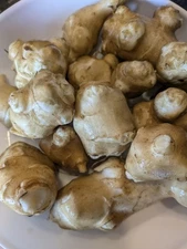 Clearwater Variety Sunchoke Tubers - Jerusalem Artichoke - Organic - Mild Flavor