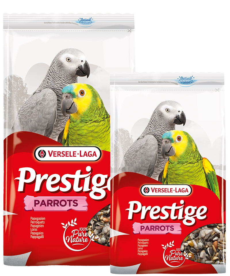Versele-Laga Prestige Parrot Seed Mix 3kg Parrot Food Amazon African Grey  Parrot