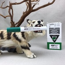 10 Green EF Eberhard Faber Vintage Permanent Marker 3000 Chisel Tip Stinky
