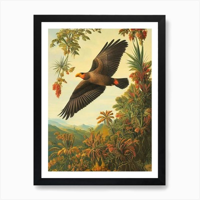 California Condor Haeckel Style Vin Framed Wall Art Poster Canvas Print Picture