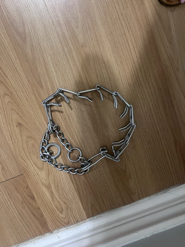 Collar obturador para perros Foto 2 de 2