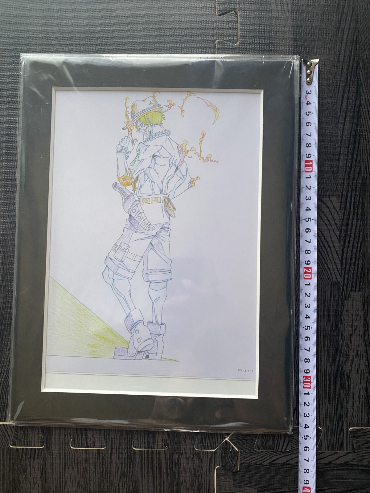 Picture 10 of 10