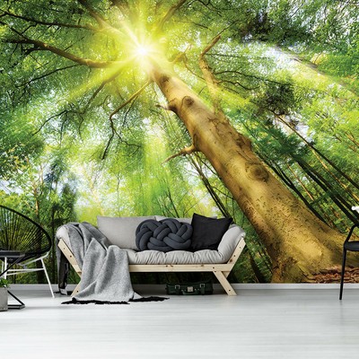 SONNE WALD NATUR Vlies Fototapete Wohnzimmer Schlafzimmer Moderne