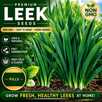 Garlic Chives Seeds Non-GMO Fast Growing Easy Garden
