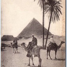 c1910s Egypt Pyramid of Khafre Palm Trees Camels Riders Desert Landscape PC A343