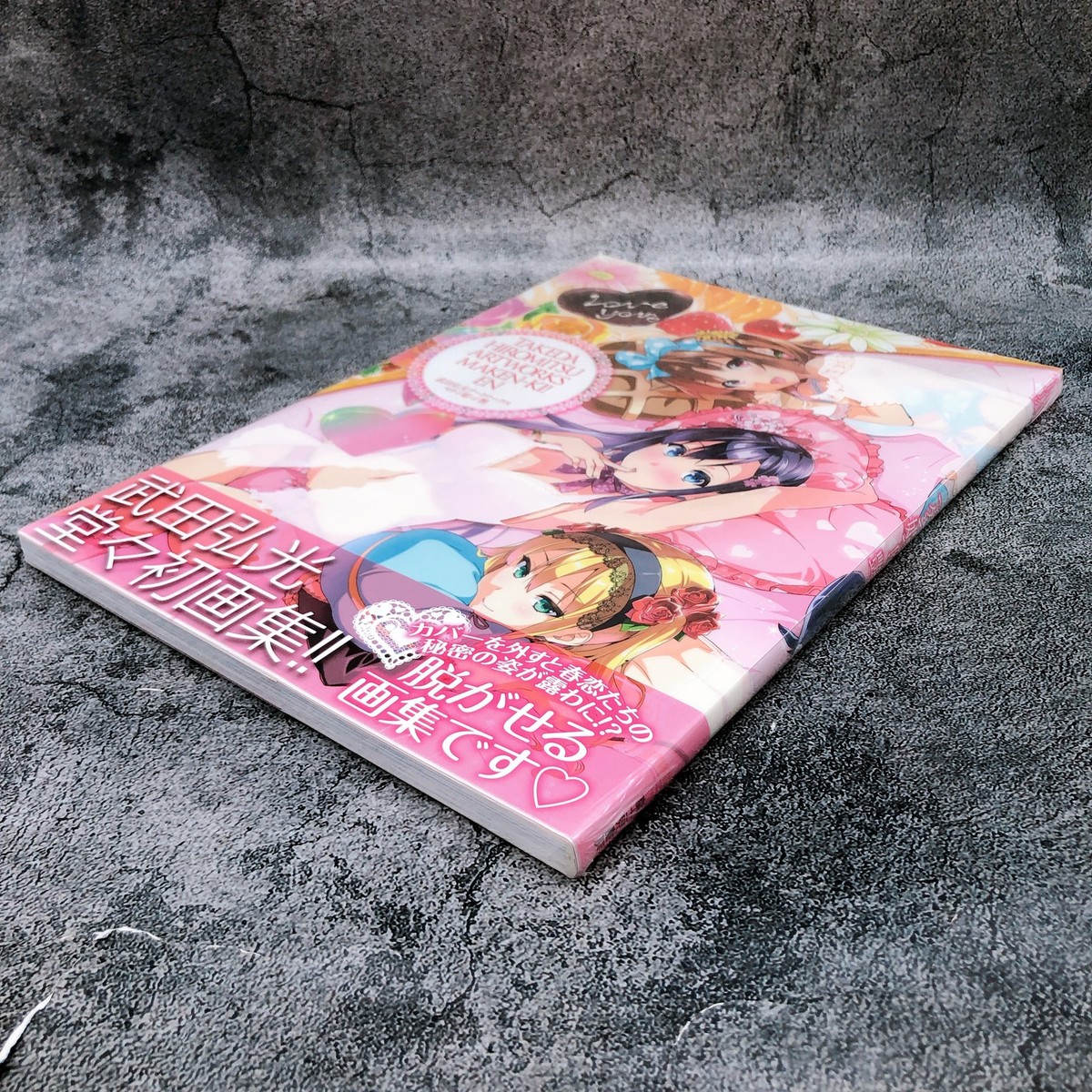 Takeda Hiromitsu Art Works Maken-ki Gloss Book Anime Illustration