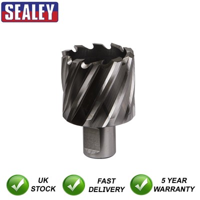 Sealey Worksafe �� 42 mm HSS Mag Bohrer Schnitttiefe 25 mm RBHSS42S