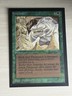 MTG International Collector's Edition Fungusaur Mint Never Played