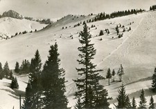 THOLLON LES MELISES Lifts Slopes of the M�mises Pic de Bor�e Panorama Stamp