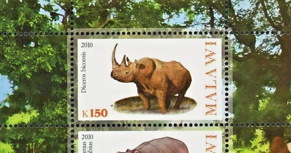Malawi Africa Rhino Hippo Wild Animal Souvenir Sheet of 2 Stamps Mint NH - Image 2 of 4