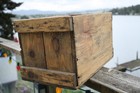 United States Cartidge Co. shotgun shell shipping box, wood, rare, nailed. — photo 1
