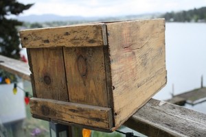 United States Cartidge Co. shotgun shell shipping box, wood, rare, nailed.