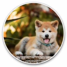 2 adesivi in vinile 20 cm - giapponese Akita Inu cucciolo cane regalo cool #15710