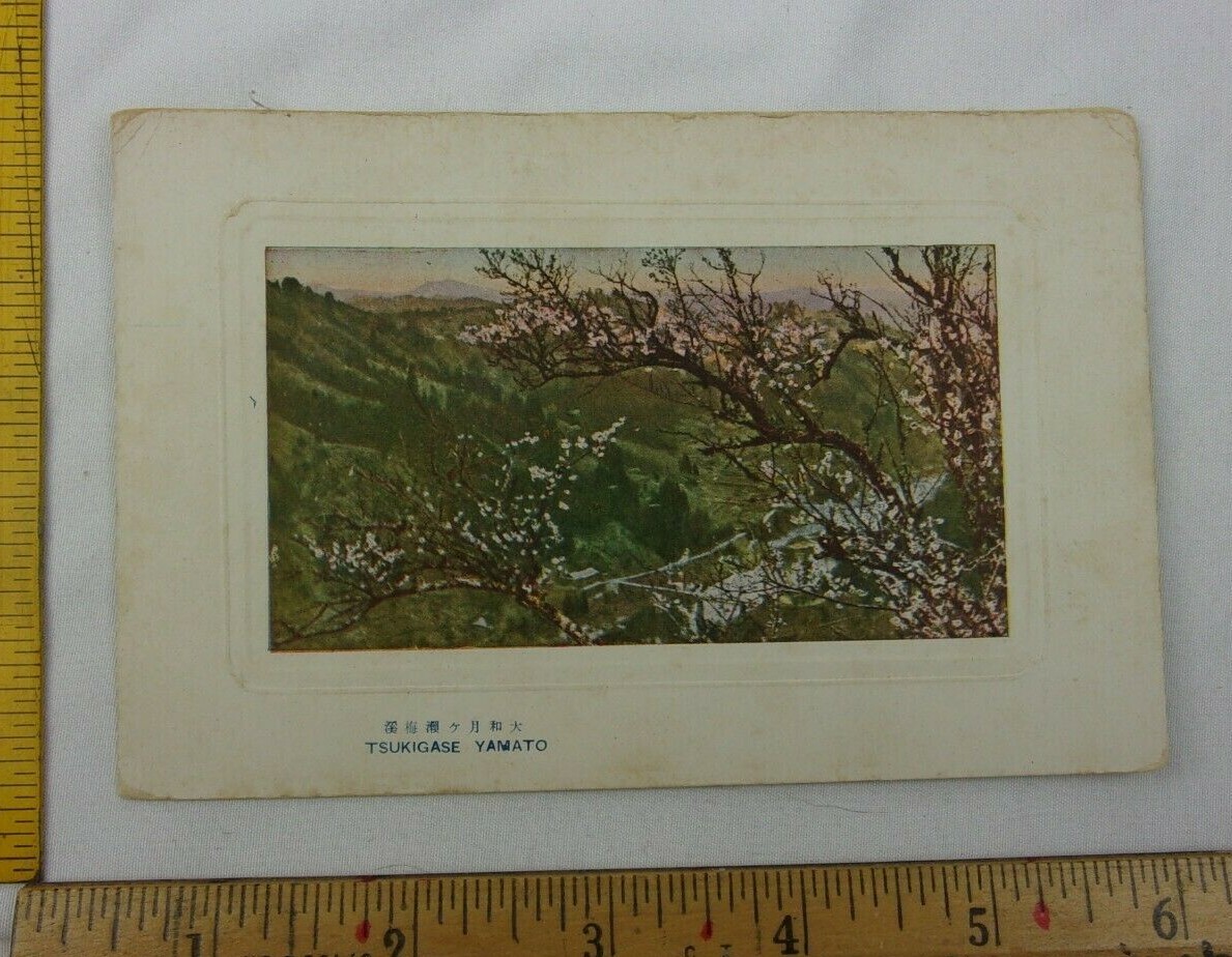 Tsukigase Yamato Japanese post card 1900s VINTAGE Japan | eBay