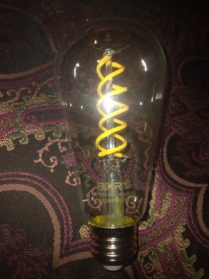Dimmable Vintage Edison LED Filament Bulb (6-Pack) EcoSmart 40W Equivalent ST19 