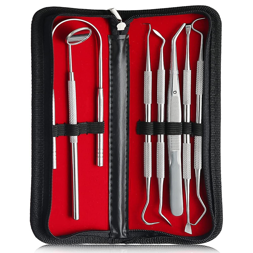8x Dental Teeth Cleaning Kit Multi Floss Plaque Remover Care Tooth Scraper Tool eBay